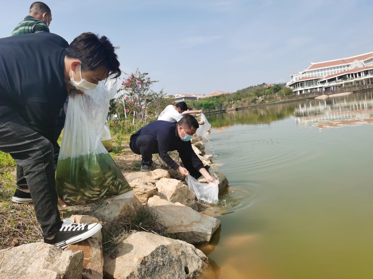 投放鱼苗，净化水质