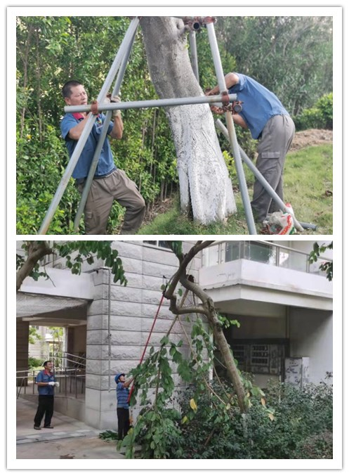 严阵以待，提前做好台风“圆规”防御工作