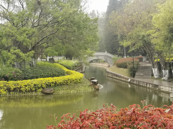 阳春三月无限好，花红柳绿春日俏——学生公寓与环境服务中心绿化保洁部积极开展春季苗木补植补栽工作