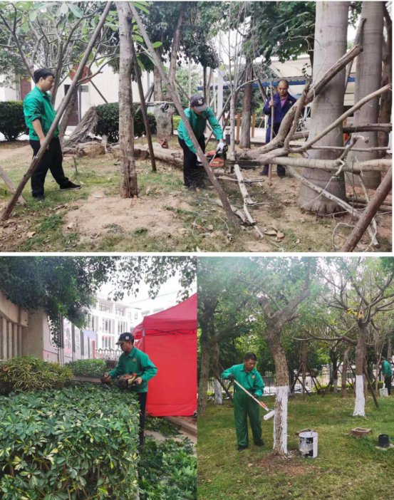 同庆三十华诞  共谱音校新篇章——南强物业圆满完成厦门市音乐学校三十周年校庆后勤保障工作
