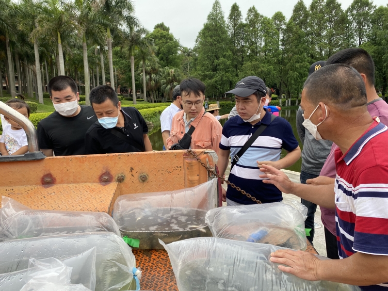 以鱼养水，3600余尾鱼苗投放芙蓉湖