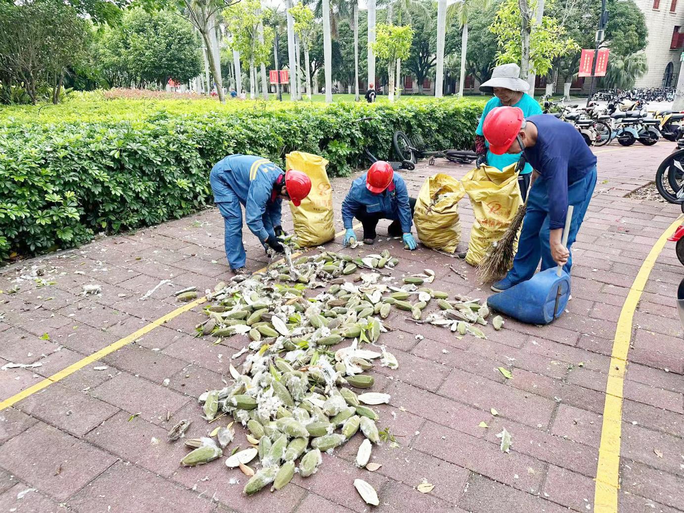 强化服务保障，筑牢安全防线