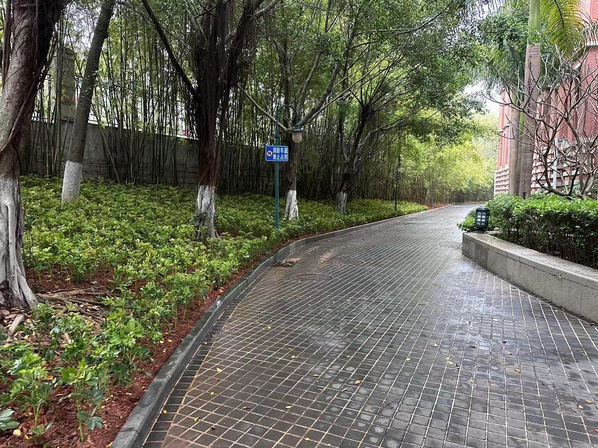 春季补植正当时，不负三月好春光