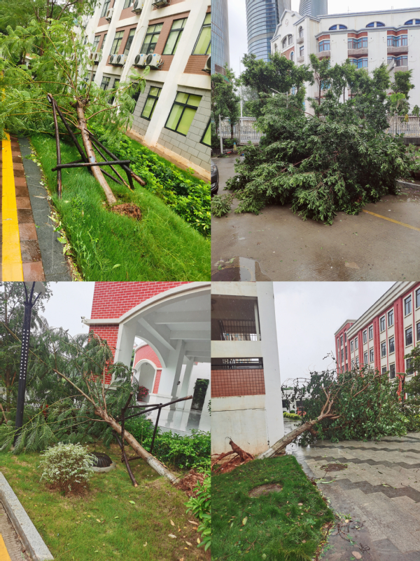 ​南强物业公司全员投入灾后恢复抢救，以最快速度还原各项目正常秩序